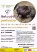 Netopýří podvečer