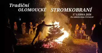 Tradiční Olomoucké stromkobraní
