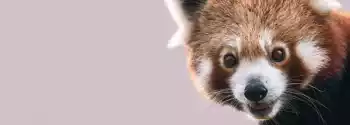 Světový den dárců krve