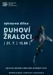Duhoví žraloci