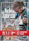 Adventní koncert: Bacha na Šporcla!