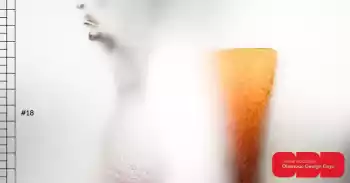 LLEV Second life. Vernisáž výstavy