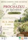PROCHÁZKA PO BYLINKÁCH S MEDOU