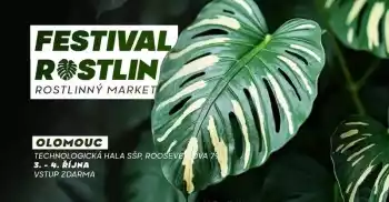Festival Rostlin