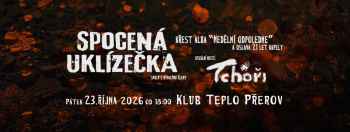 Spocená uklízečka