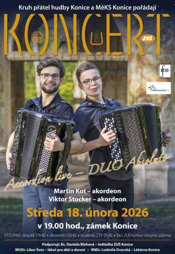 Accordion live - Duo Absoluto