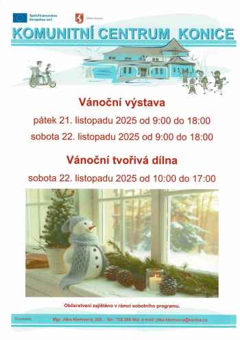 Vánoční výstava