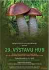 Výstava hub