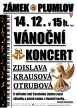 Vánoční koncert