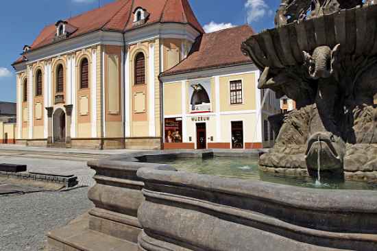 Online prohlídka Vlastivědnému muzea