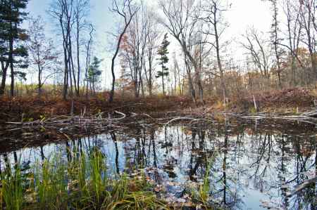 Naturlehrpfad Černotín - Hluzov
