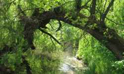 Educational trail through the Přerov meadow