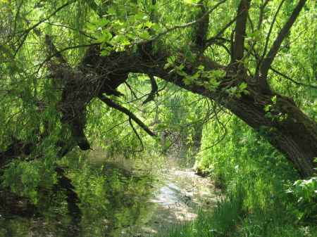Naturlehrpfad durch die Přerov-Wiese