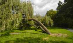 Ścieżka edukacyjna – Park miejski Uničov