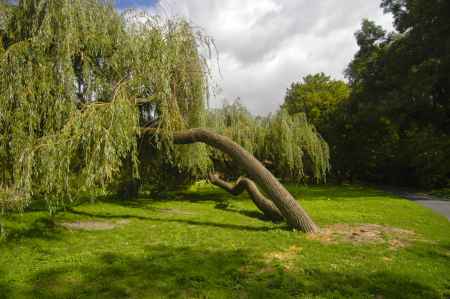 Lehrpfad Stadtpark Uničov