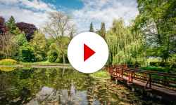 Arboretum Bílá Lhota