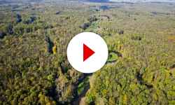 Landschaftsschutzgebiet Litovelské Pomoraví