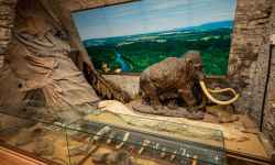 Muzeum Komenského v Přerově