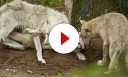 ZOO Olomouc