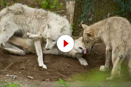 ZOO Olomouc