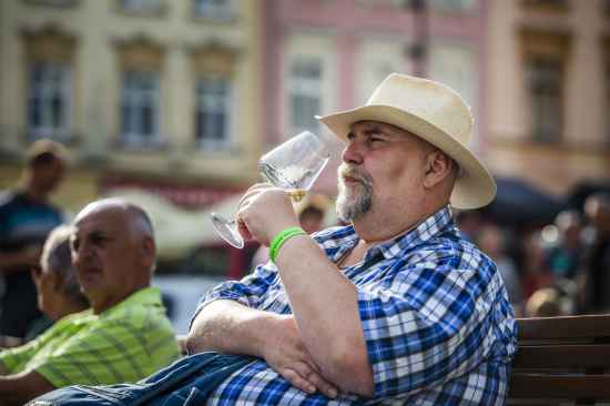 OLOMOUCKÉ VINNÉ SLAVNOSTI