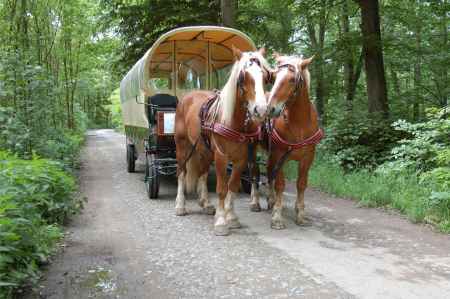 Forman carriages