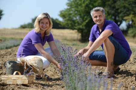 Lavender Farm Bezděkov