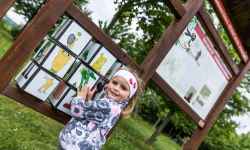 Ścieżka edukacyjna – Podążaj za pingwinem