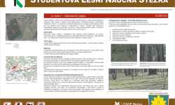 Študent