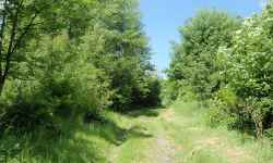 Ścieżka edukacyjna – Henička