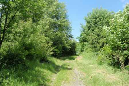 Henička-Naturlehrpfad