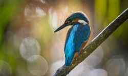Naturlehrpfad Wiesen von Litovelské Pomoraví / Littauer Marchtal