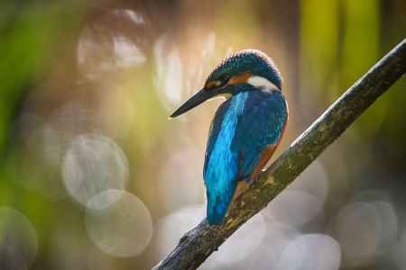 Naučná stezka Luhy Litovelského Pomoraví