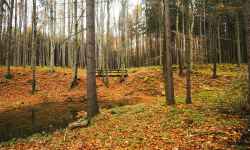 Nature trail Valšovice