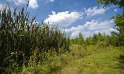 Naučná stezka obce Čehovice