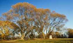 Lehrpfad Kol um Olomouc