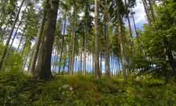Nature trail Panské louky Nature Reserve