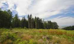 Zielony szlak – Šternberk