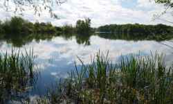 Nature Trail Around Lake Poděbrady