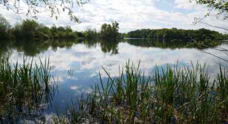 Nature Trail Around Lake Poděbrady