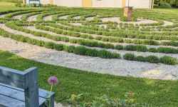 Lavender Labyrinth Lela