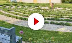 Lavendel-Labyrinth Lela